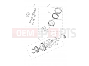 Crankshaft, Conrods and Pistons - Triumph Tiger 1200 GT Pro 2025