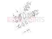 Engine Covers - Triumph Tiger 1200 GT Pro 2025