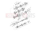 Transmission - Triumph Tiger 1200 GT Pro 2025