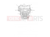 Triumph 2026 Tiger 1200 GT Pro Crankcase Bolts
