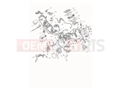 Electrical Section - Triumph Tiger 1200 Desert 2026
