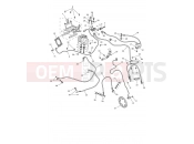 ABS System - Triumph Tiger 1200 Desert 2026