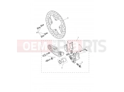 Rear Brake Caliper & Discs - Triumph Tiger 1200 Desert 2026