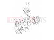 Engine Covers - Triumph TRIDENT 660cc CB1390 > CN4039 2025