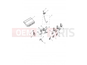 Engine Management - Triumph TRIDENT 660cc CB1390 > CN4039 2025