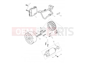 Alternator & Starter Motor - Triumph TRIDENT 660cc CB1390 > CN4039 2025
