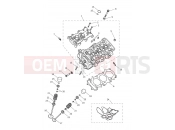 Cylinder Head & Valves - Triumph TRIDENT 660cc CB1390 > CN4039 2025