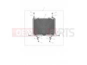 TRIUMPH SPEED TRIPLE S 735438 > Radiator Guard Kit