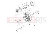Rear Wheel - Triumph Tiger 1200 Rally Pro 2024