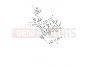 Triumph 2025 Tiger 1200 Rally Pro Emissions Control