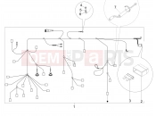 PIAGGIO Typhoon 50 4T E2 (CA, US) Main cable harness