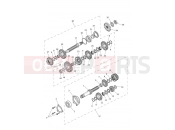 Transmission - Triumph Tiger Sport 800 2026