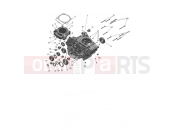 TRIUMPH TF250-X > CC7868 Crankcase