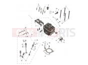 Cylinder Head & Valves - Triumph TF250-E 2025
