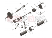 TRIUMPH TF250-C Lubrication System