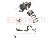 TRIUMPH TF250-C Throttle Bodies