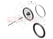 Front Wheel - Triumph TF250-E 2026