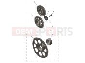Starter Drive Gears - Triumph TF450-E 2025