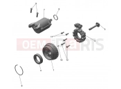 Alternator & Starter Motor - Triumph TF450-X 2025